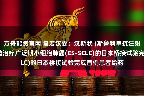 方舟配资官网 复宏汉霖：汉斯状 (斯鲁利单抗注射液)联合化疗一线治疗广泛期小细胞肺癌(ES-SCLC)的日本桥接试验完成首例患者给药