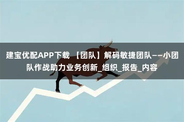 建宝优配APP下载 【团队】解码敏捷团队——小团队作战助力业务创新_组织_报告_内容