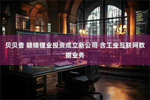 贝贝查 赣锋锂业投资成立新公司 含工业互联网数据业务